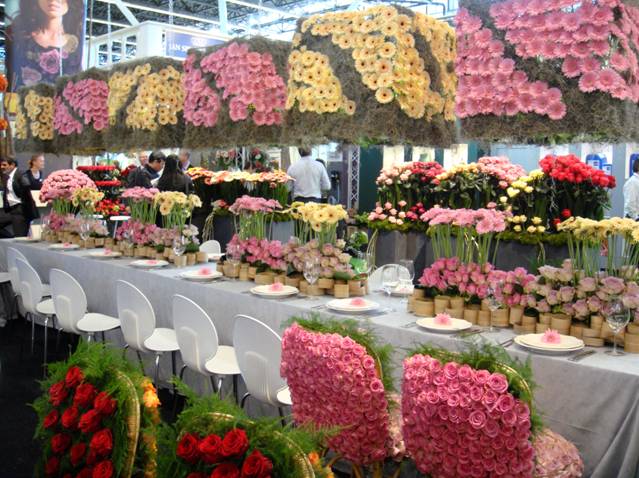 2009-olily-horti-9